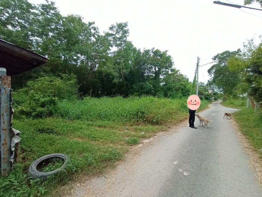 ถูกกว่านี้ไม่มีอีกแล้ว! ที่ดิน 101 ตร.ว. ทำเลสวย แปลงมุม ติดถนน อยากเป็นเจ้าของที่ดินใกล้ มทร ธัญบุรี นัดตรวจเช็กพิกัดและดูหน้างานจริงได้ทุกวันครับ/ค 3