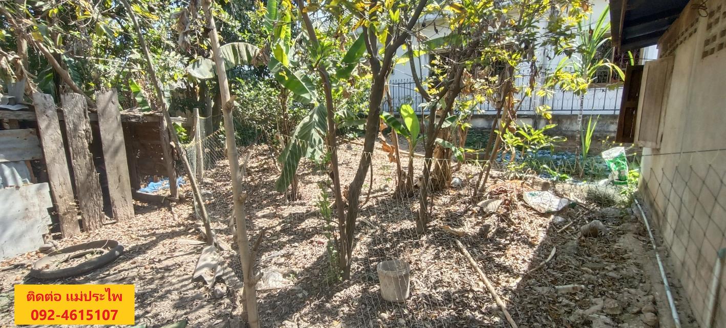 ที่ดิน มีสิ่งปลูกสร้าง 245 ตรว. หนองคาย 6