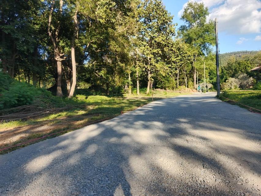 ขายที่ดิน ต.บ้านปง อ.หางดง จ.เชียงใหม่ 800 ตรว 7 ล้าน 1