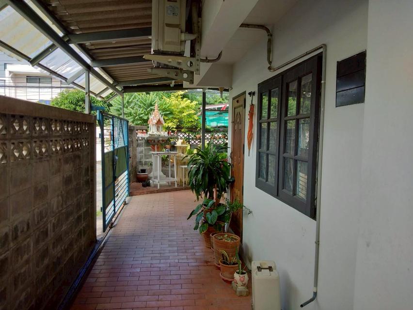 บ้านเดี่ยว2ชัืน50ตรว. 13