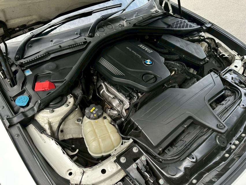 BMW 320d GT Sport Line (F34) 2.0L 8AT Diesel Twin Power Turbo   17