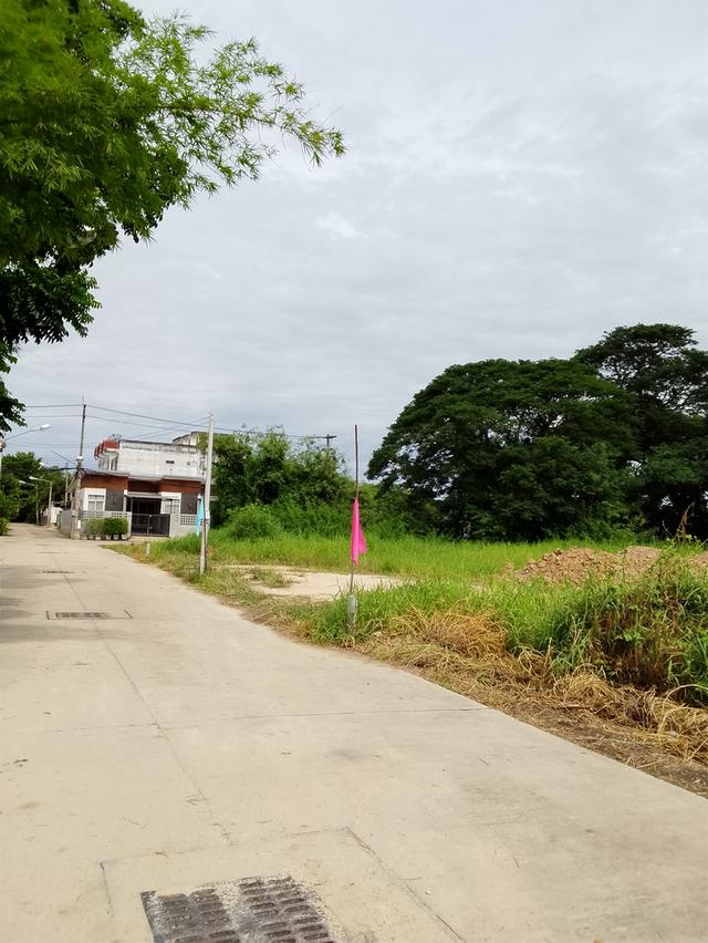 ขายที่ดิน 50 ตรว.อุทัยธานี 4