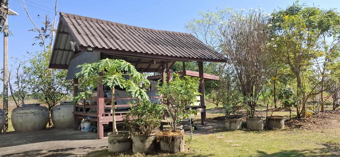 5 ไร่ ทางเข้าไทวัสดุ  โคราช บายพาส ปักธงชัย - จอหอ  9.8 ล้าน 16