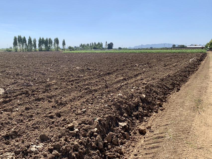 ขายที่ดินสวย2แปลง เนื้อที่รวม26ไร่เศษ สภาพแวดลัอมดี เหมาะลงทุน,ทำเกษตร,จัดสรรหรืออื่นๆ คมนาคมสะดวก 13