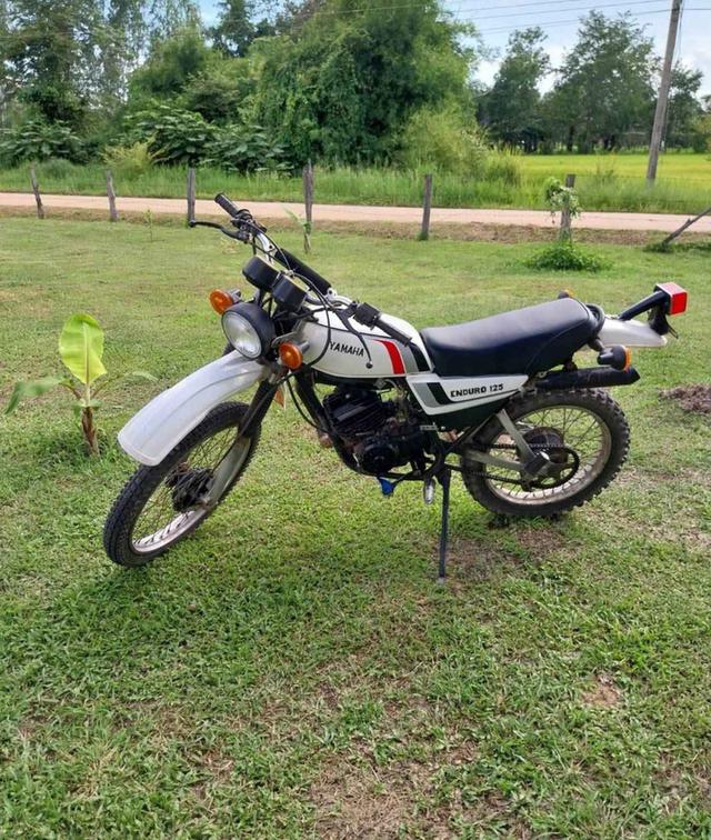 Yamaha DT125 ปี 1982 รถสภาพสวยมือสอง 2