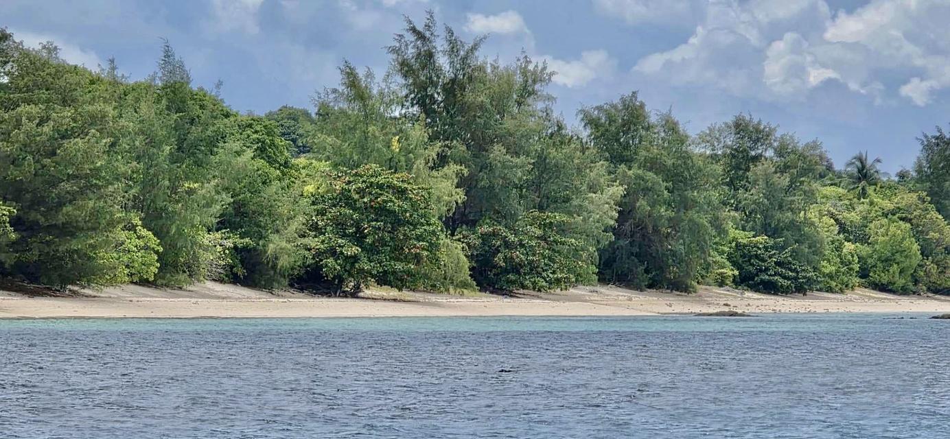 ที่ดินเกาะราบ ใกล้กับเกาะสมุย เดินทางด้วยเรือ หางยาว เรือสปีดโบ๊ท 16