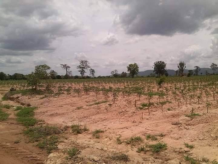 ขออนุญาตครับขายที่ดิน ภดส.11 จำนวน 500กว่าไร่ 7