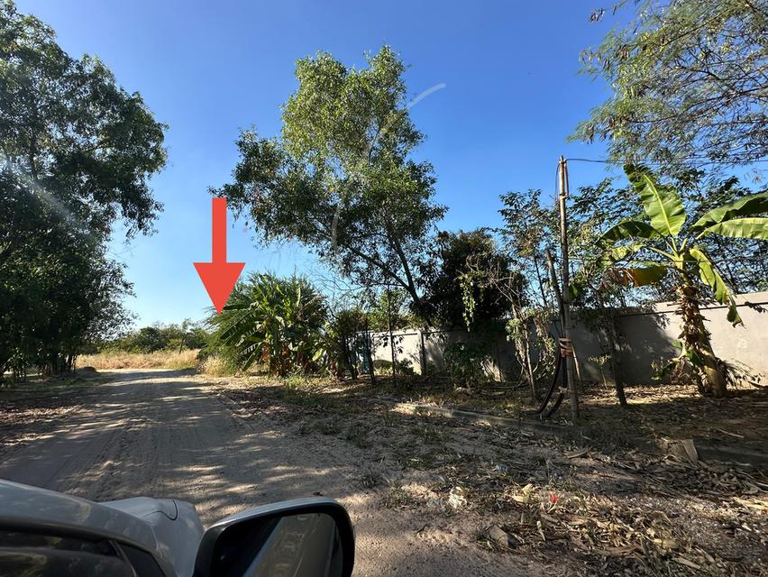 ขายที่ดินเปล่า รูปแปลงสวย เนื้อที่ 1-0-32 ไร่ ถ.ดอนนุ่น 3 ต.บึง อ.ศรีราชา จ.ชลบุรี 5