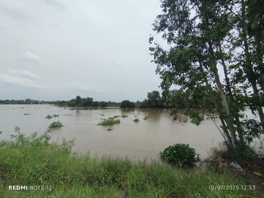ที่ดินริมน้ำบางปะกง 30 ไร่เศษ ติดถนนใหญ่ + ติดแม่น้ำ วิวสวย ศักยภาพสูง เหมาะลงทุนรีสอร์ท พูลวิลล่า หรือโครงการท่องเที่ยวครบวงจร 7