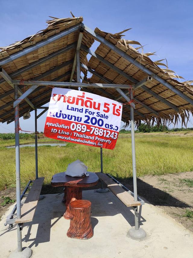 Sale large land 9.3 Rais suitable for projects or building house etc, can be subdivided Kamphaeng Saen District, Nakhon Pathom Province near Bangkok 4
