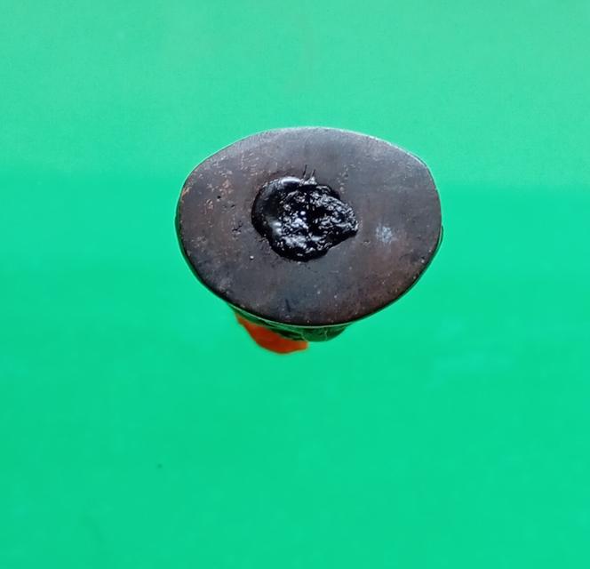 พระท่านเจ้ามา วัดสามปลี้ม รูปที่ 5