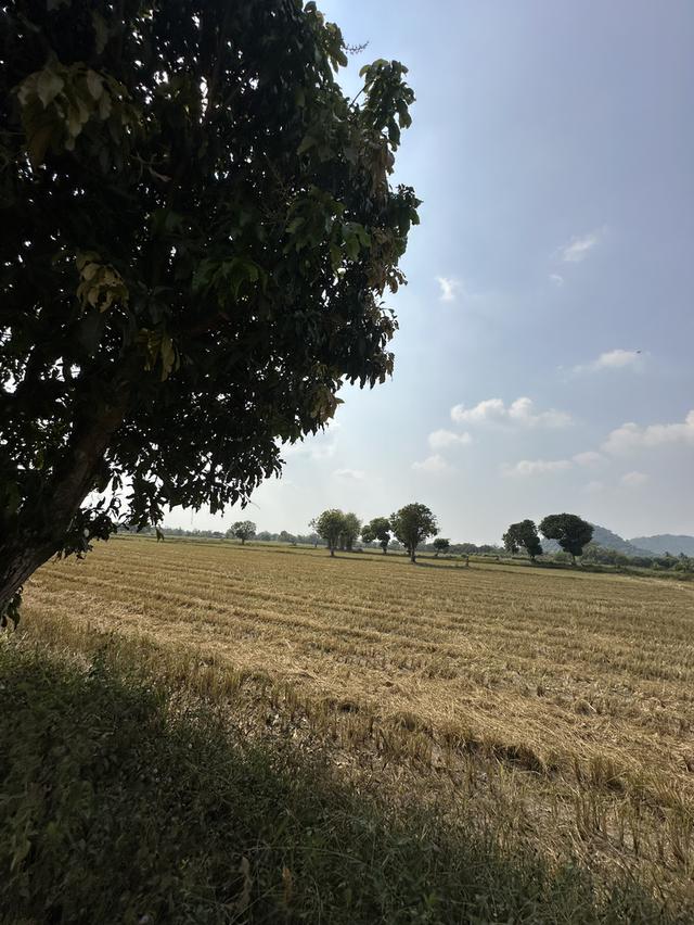 ขายที่ดิน เนื้อที่ 13-2-31.5 ไร่ ตำบลสาริกา อำเภอเมือง จังหวัดนครนายก 6