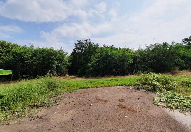 ขายที่ดิน ถนนฤชุพันธ์(บางบัวทอง-สุพรรณบุรี) ตำบลไทรใหญ่ อำเภอไทรน้อย นนทบุรี 8