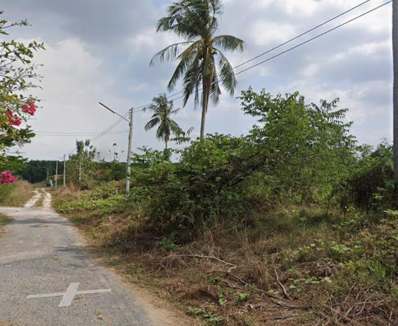 ขายที่ดินเขาคันทรง 1 ไร่ ซอยมาบปูรีสอร์ท ใกล้แยกมาบปูถนนเส้น331-2กม. อ.ศรีราชา ชลบุรี 2