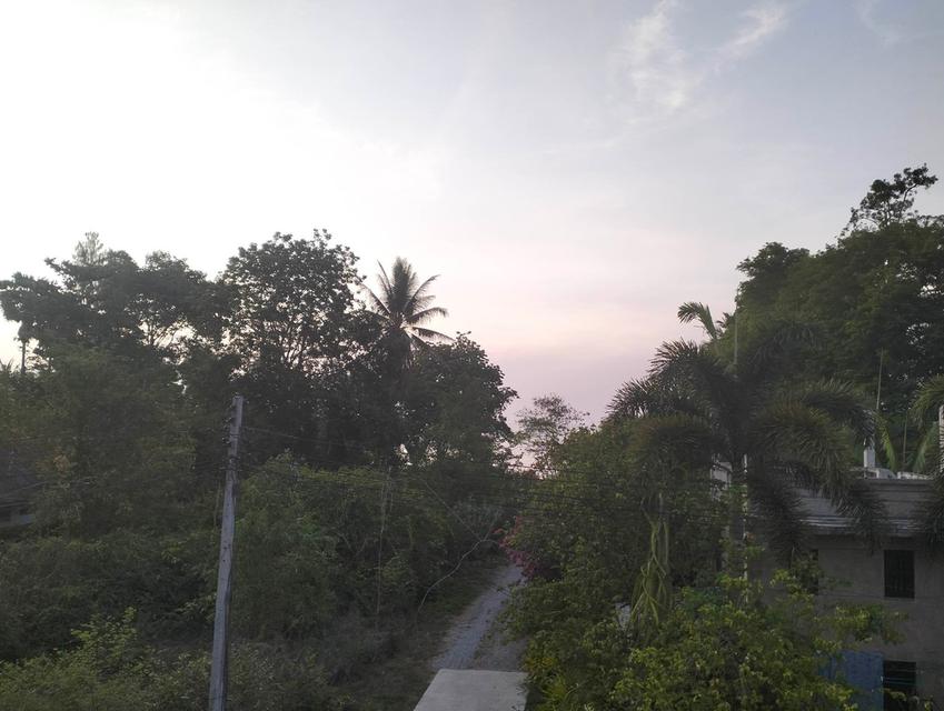 ที่ดินติดทะเล (บ้านพร้อมที่ดิน) อ.บางสะพาน จ.ประจวบคีรีขันธ์ 2