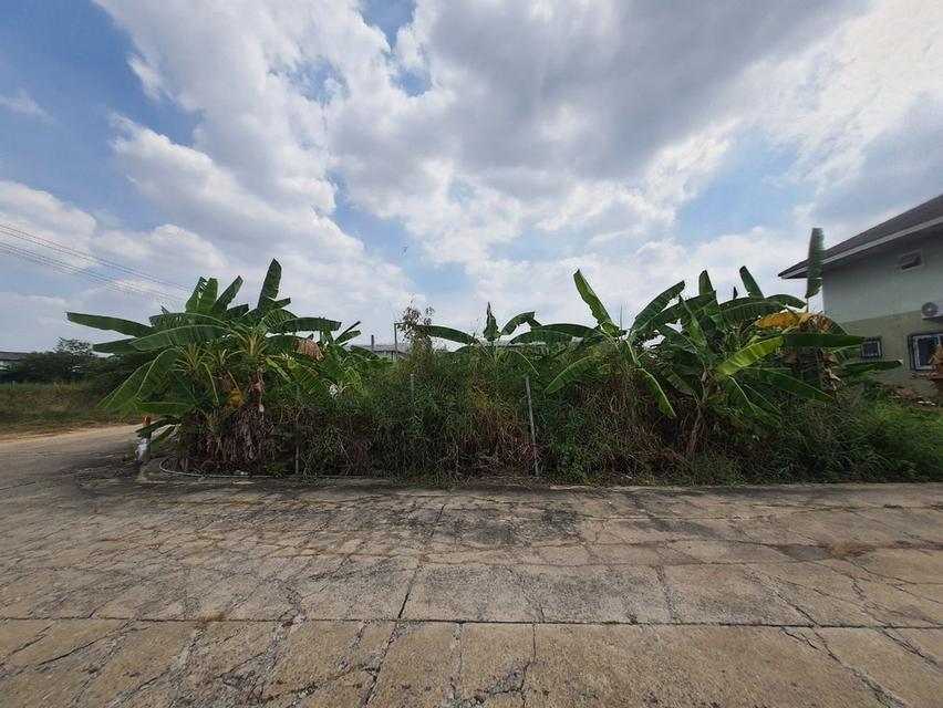 ที่ดิน 9