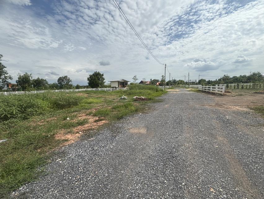 ขายที่ดินจัดสรร คลอง 13 ถนนเลียบคลอง 33 ตำบลศาลาครุ อำเภอหนองเสือ ปทุมธานี 8