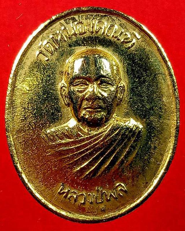 รูป เหรียญ หลวงปู่พล วัดหนองคณฑี สระบุรี