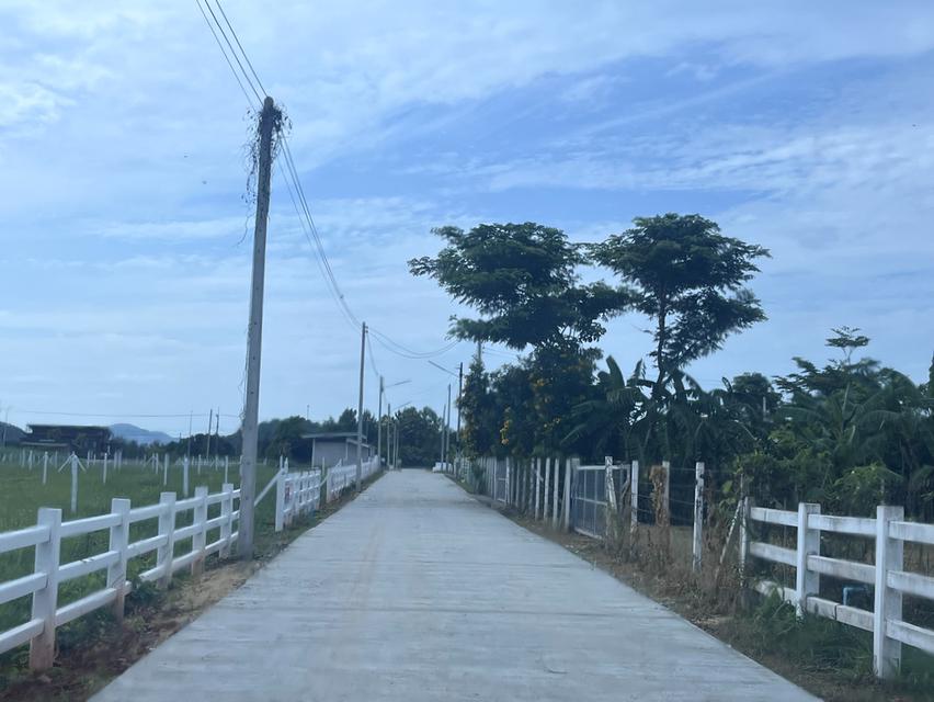 ขายที่ดินโฉนด(สด-ผ่อน) บ้านหนองใยบัว อ.โพธาราม ราชบุรี 300 ตร.วา 600,000 บาท 2
