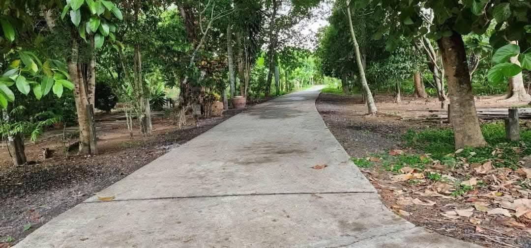 ที่ดินติดแม่น้ำนครนายก 4