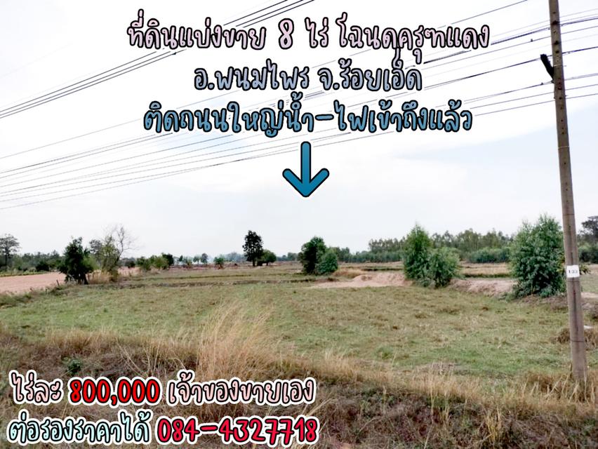 ที่ดินแบ่งขาย 8 ไร่ ราคาไร่ละ 800,000 พร้อมโฉนดครุฑแดง น้ำไฟผ่าน ติดถนนใหญ่ จ.ร้อยเอ็ด เจ้าของขายเอง ราคาต่อรองราคาได้ สนใจติดต่อ 084-4327718 1