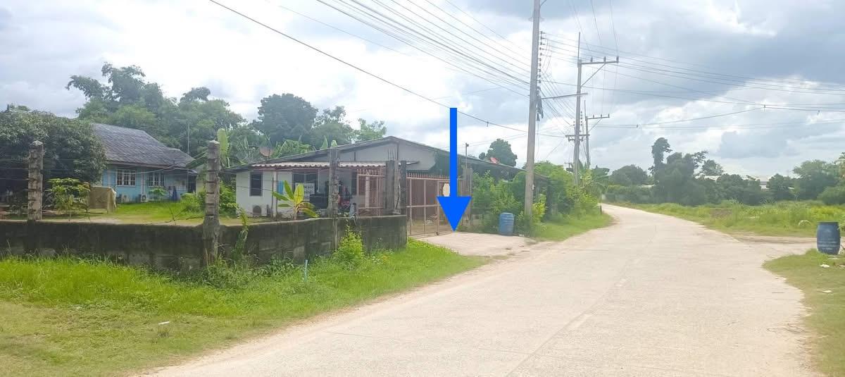 ขายที่ดินทุ่งขวาง พนัสนิคม 9-0-37ไร่ ติดถนนคอนกรีต ซอยทุ่งขวาง 11 ห่างจากถนน ทล.349 ประมาณ 200เมตร 4
