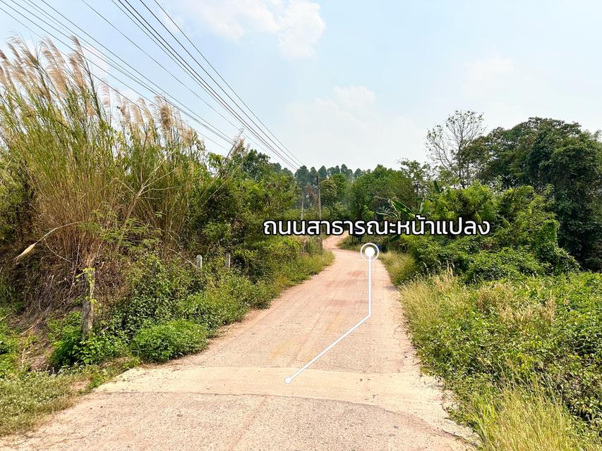 ขายด่วน ที่ดินพร้อมสิ่งปลูกสร้าง 5 ไร่เศษ วิวภูเขาพาโนรามา ติดถนน 1173 ต.เมืองชุม อ.เวียงชัย เชียงราย 17