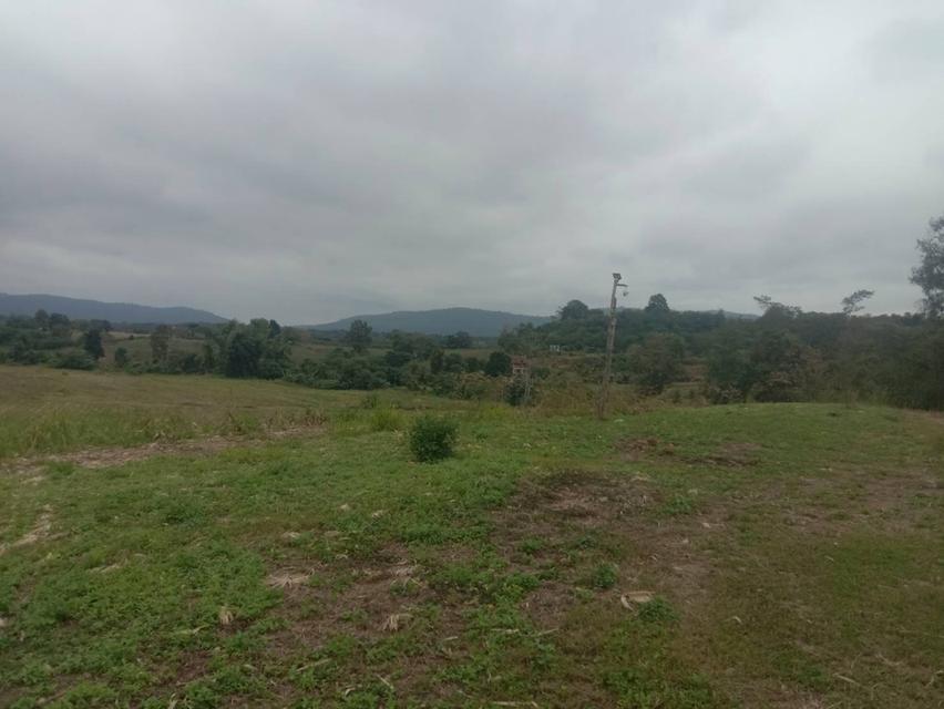 ที่ดินเปล่า 20 ไร่ๆละ 5 แสน แบ่งขายได้ คลองสอง วังน้ำเขียว 5