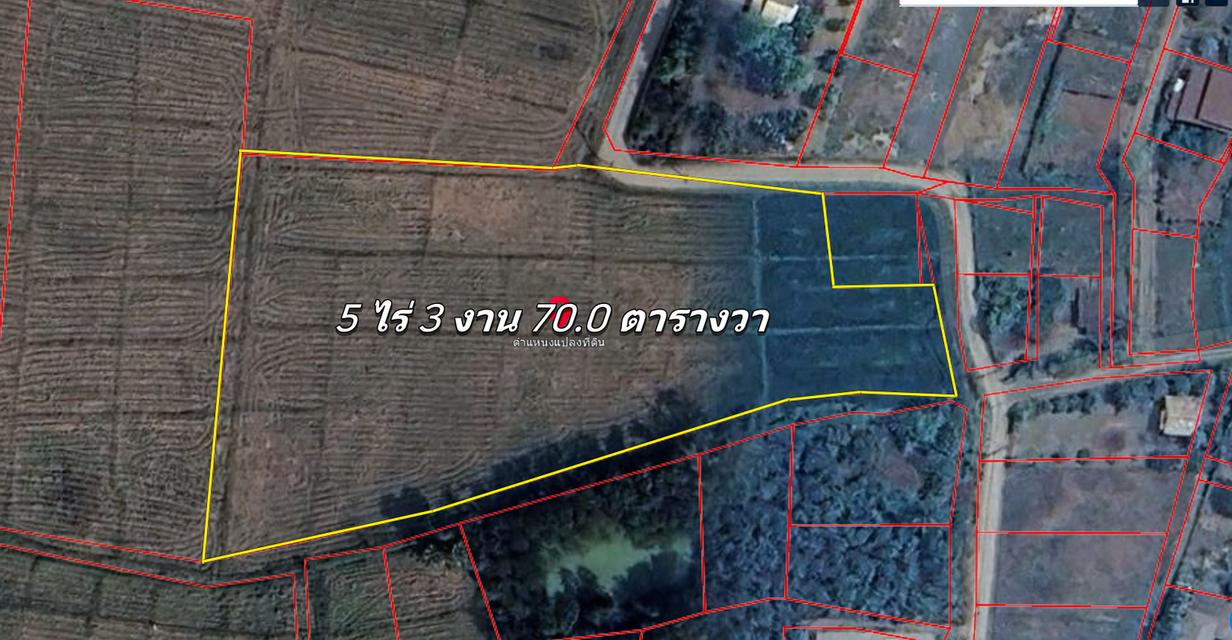 ที่นา 5-3-70 ไร่ (มีไฟฟ้าประปา ติดถนนคอนกรีต 2ด้าน ) 6