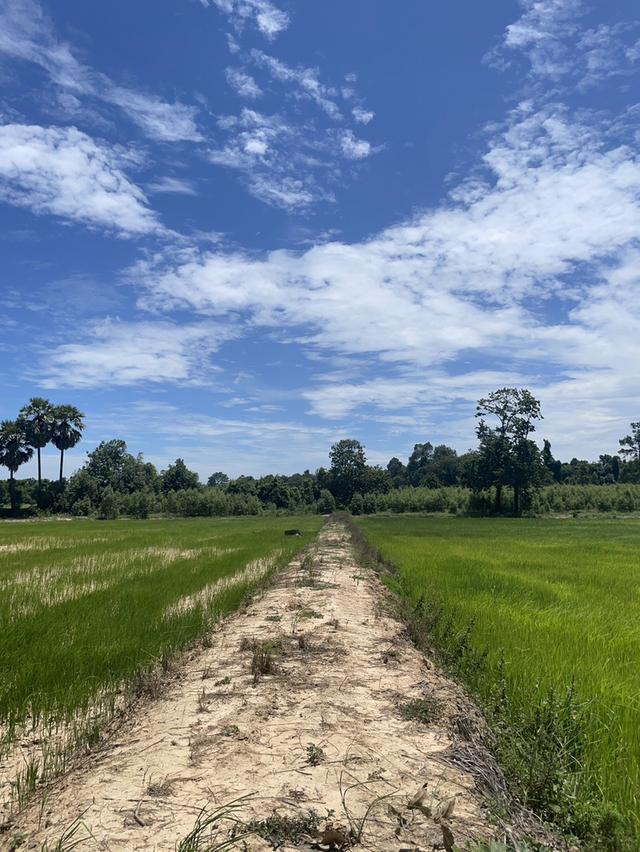 ที่ดิน จ.ปราจีนบุรี อ.กบินทร์บุรี ต.นาเเขม (บ้านท่าอุดม) 8