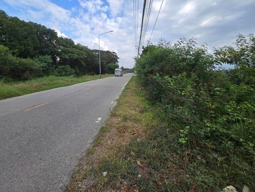 ขายที่ดิน 26 ไร่ 85 ตรว ติดถนนลาดยางสาธารณะ ระแหง ลาดหลุมแก้ว ปทุมธานี 8