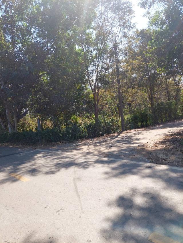 ที่ดินอ.เมืองหวัดสระแก้ว 13