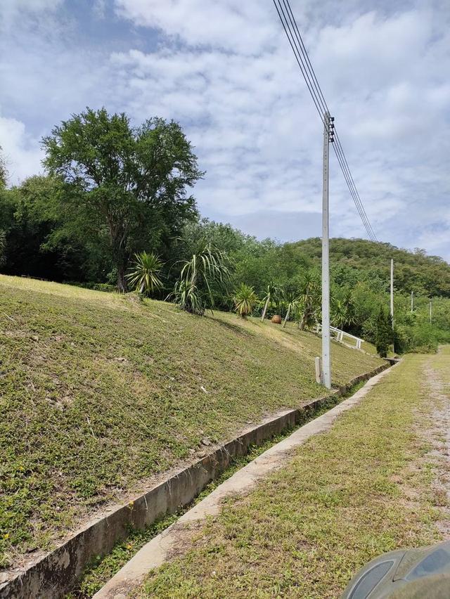 ขายที่ดินพร้อมโฉนด 1-1-32 ตร.ว. อ.ปากช่อง จ.นครราชสีมา ทำเลดี บรรยากาศร่มรื่น ด้านหลังติดภูเขา 5