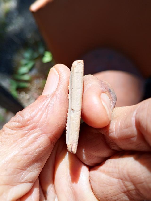 ให้เช่าพระสมเด็จเกศไชโยเจ็ดชั้น 2