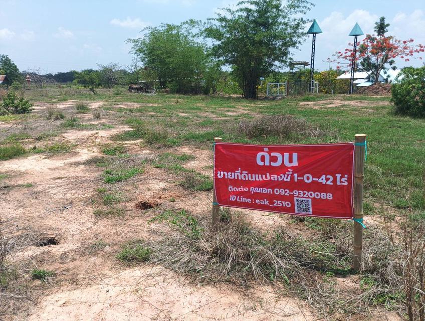 ขายที่ดินเปล่าถมแล้วติดถนน อ.แวงน้อย จ.ขอนแก่น 6