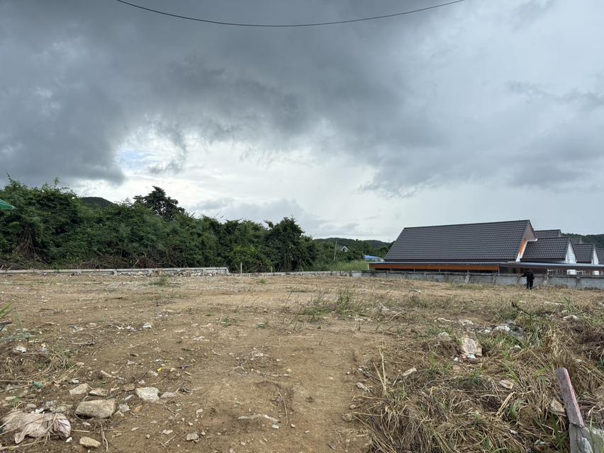 ที่ดิน 8