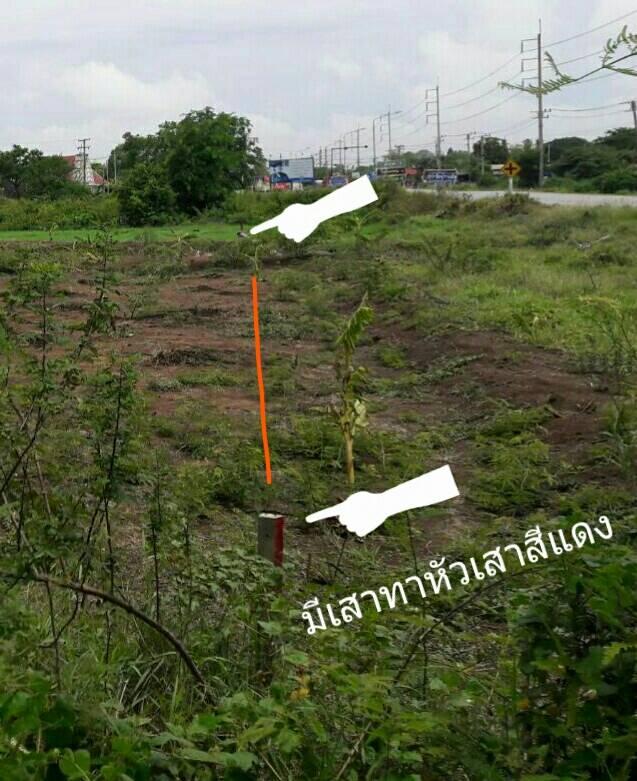 ขายที่ดิน 206 ตรว.ติดถนนใหญ่ อ.เสนา จ.อยุธยา ขาย 2 ล้าน 4