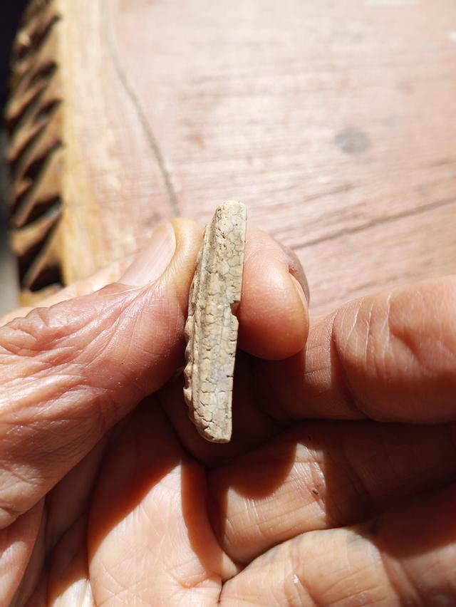 พระสมเด็จวัดระฆังพิมพ์ใหญ่