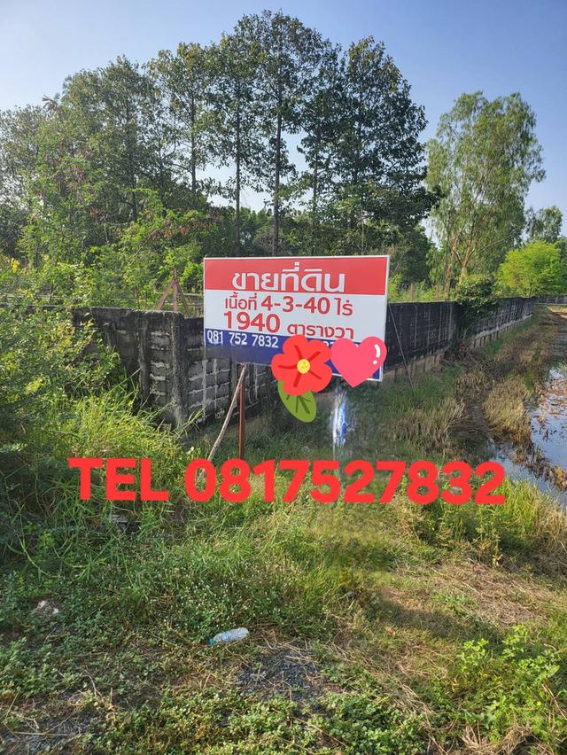 ขายที่ดินสำหรับปลูกบ้านที่ตำบลบ้านแป้งใกล้พระราชวังบางปะอินจังหวัดพระนครศรีอยุธยา 1