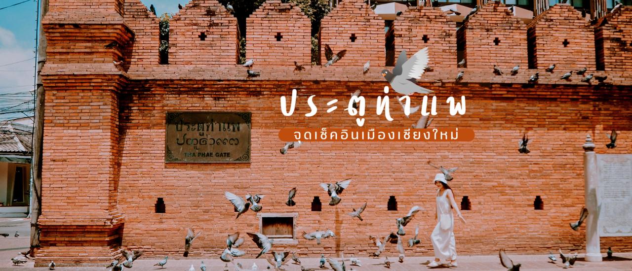 ที่ดินพร้อมสิ่งปลูกสร้าง บนถนนสายวัฒนธรรม ถ.ท่าแพ ติดถนน 2 ด้าน ขนาด 359 ตารางวา แปลงใหญ่คุ้มค่าการลงทุน ใกล้คูเมือง อ.เ 1