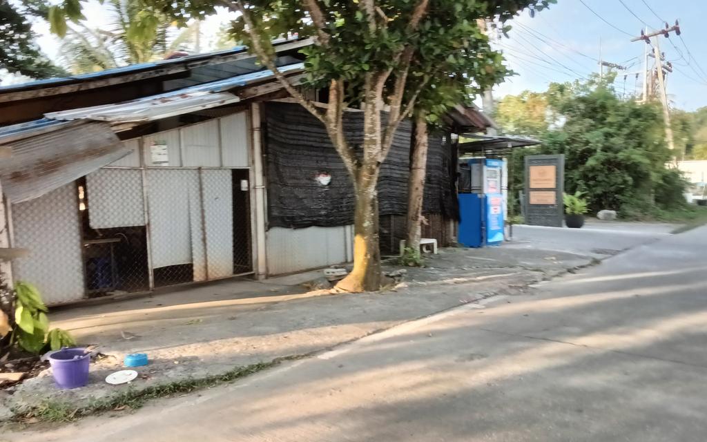 Land for rent and for sale 6