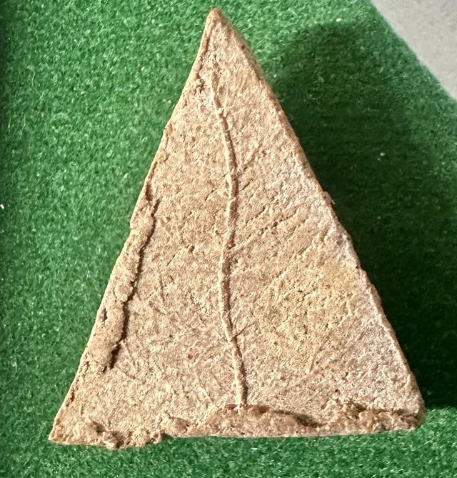 .พระสมเด็จแสน หลังใบโพธิ์ สังฆราชป๋า วัดโพธิ์ รุ่นแรก ปี2512 เนื้อจัด สวยสมบูรณ์เดิมๆ รูปที่ 8