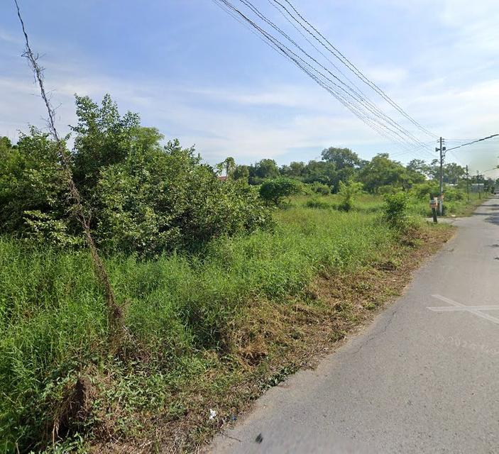 ขายที่ดินคลองหก 1 ไร่ ติดถนน3ด้านซอยคลองหกตะวันตก13(ซ.สุนทรีย์) ใกล้ถนนรังสิต-นครนายก305-5กม. อ.คลองหลวง ปทุมธานี 2