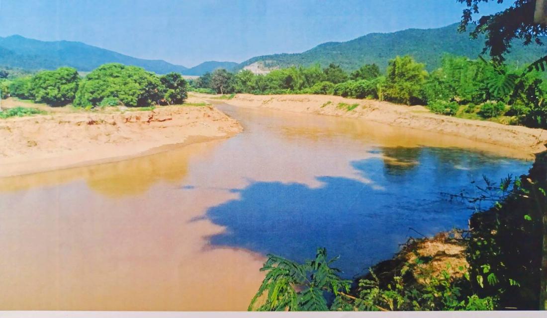 ขายที่ดินติดแม่น้ำปิง วิวธรรมชาติสุดปัง 2 ไร่ 3 งาน 27.0 ตารางวา 6