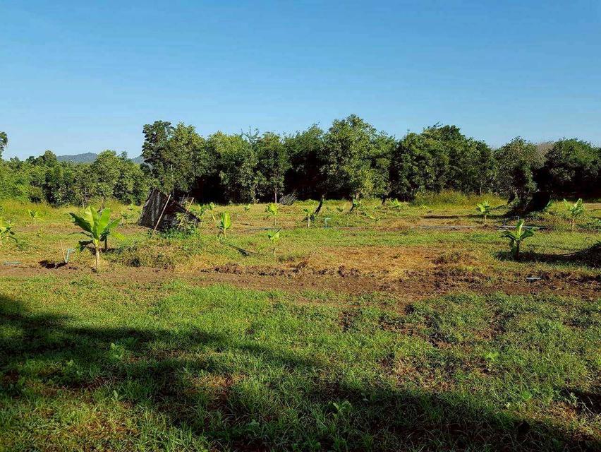 [ขายด่วน!] ที่ดินแปลงใหญ่ 76 ไร่เศษ ติดถนนพหลโยธิน ต. สมอโดน อ.บ้านตาก จ.ตาก หน้ากว้างสวย 425 เมตร ทำเลดี ติดห้วยธรรมชาติ เหมาะลงทุนและทำเกษตร 1