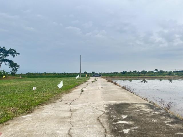 ขาย ที่ดินเปล่า คลอง 11 ตะวันออก ต. หนองสามวัง อ. หนองเสือ จ.ปทุมธานี เนื้อที่ 200 ตรว. ใกล้ถนนสี่เลน วิวรีสอร์ท 5