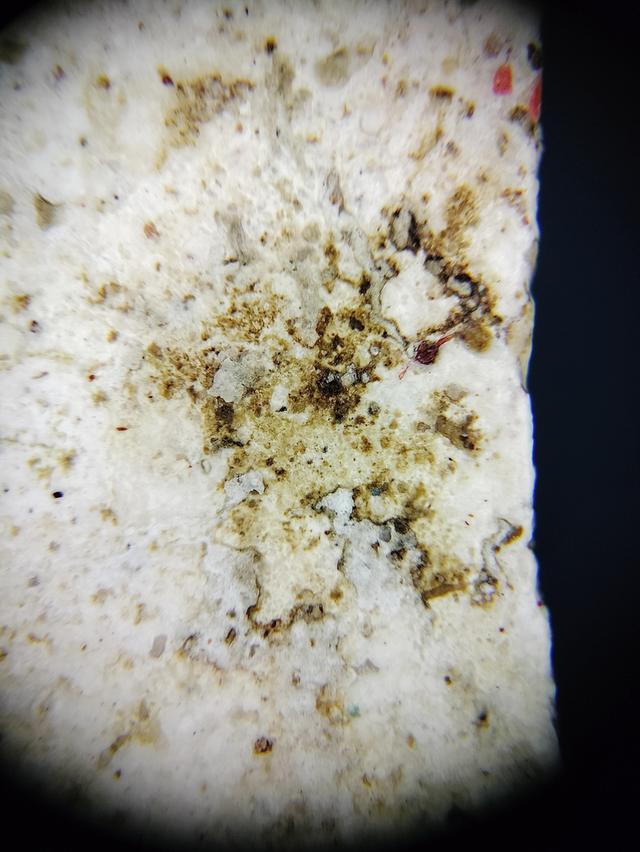 Phra Somdej Wat Rakhang รูปที่ 18