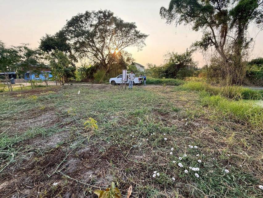 ขายด่วนที่ดินตรงข้ามซีพีแรม(สนง.ใหญ่) 200 ตรว ถมสูงกว่าถนน อ.ลาดหลุมแก้ว จ.ปทุมธานี 2