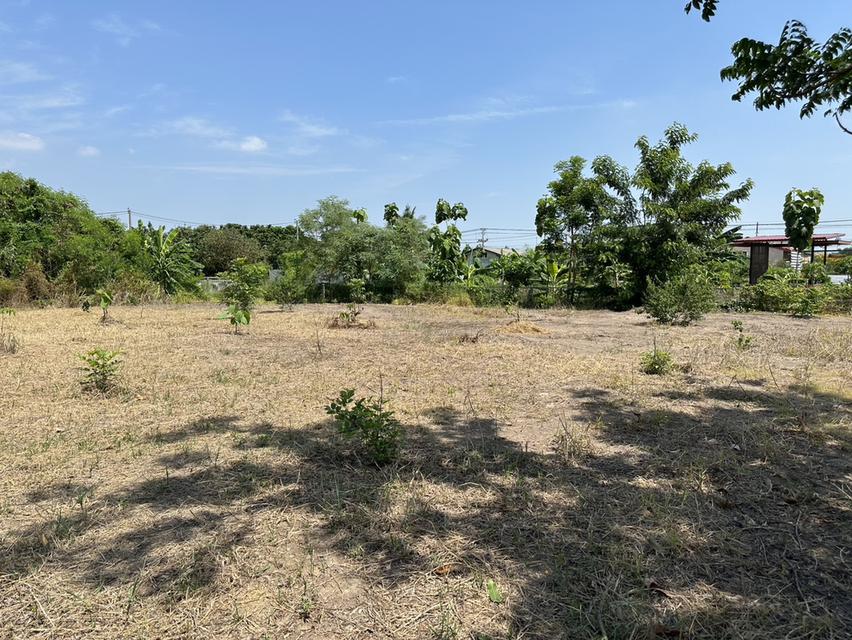 ขายที่ดิน 1 ไร่ 3 งาน ถมแล้ว ที่สวย บรรยากาศดี ร่มรื่น เงียบสงบ  ปลอดภัย ใกล้แหล่งท่องเที่ยว 3