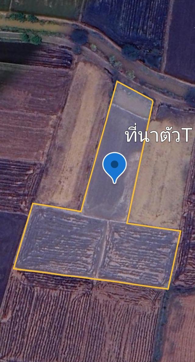 ที่ดิน 11